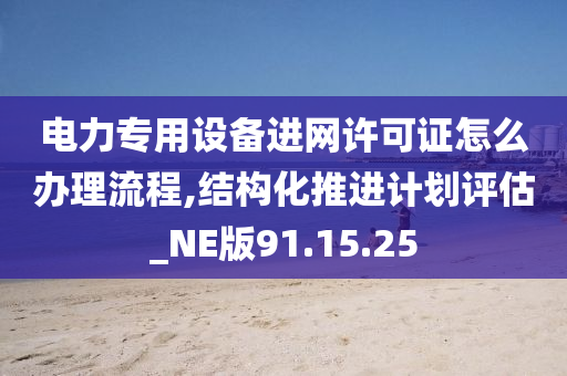 电力专用设备进网许可证怎么办理流程,结构化推进计划评估_NE版91.15.25