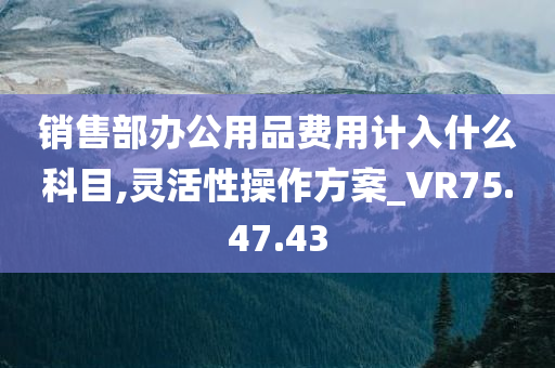 销售部办公用品费用计入什么科目,灵活性操作方案_VR75.47.43