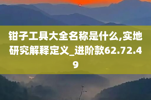 钳子工具大全名称是什么,实地研究解释定义_进阶款62.72.49