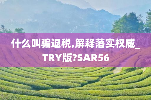 什么叫骗退税,解释落实权威_TRY版?SAR56