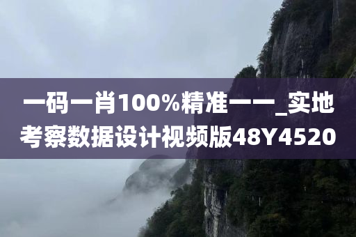 一码一肖100%精准一一_实地考察数据设计视频版48Y4520