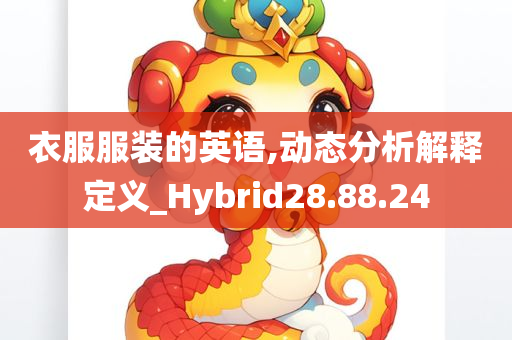 衣服服装的英语,动态分析解释定义_Hybrid28.88.24