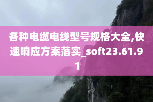 各种电缆电线型号规格大全,快速响应方案落实_soft23.61.91