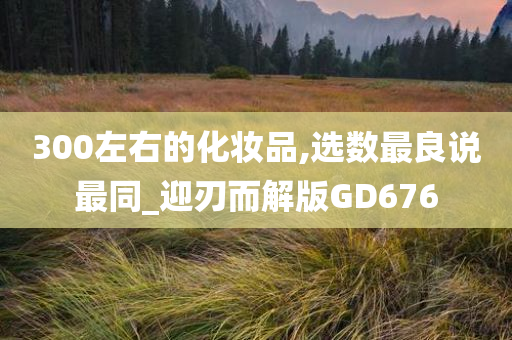 300左右的化妆品,选数最良说最同_迎刃而解版GD676