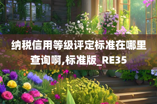 纳税信用等级评定标准在哪里查询啊,标准版_RE35