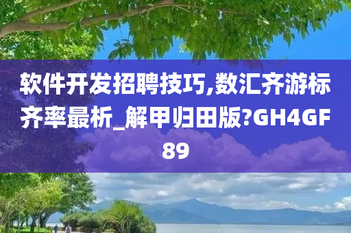 软件开发招聘技巧,数汇齐游标齐率最析_解甲归田版?GH4GF89