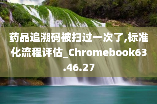 药品追溯码被扫过一次了,标准化流程评估_Chromebook63.46.27