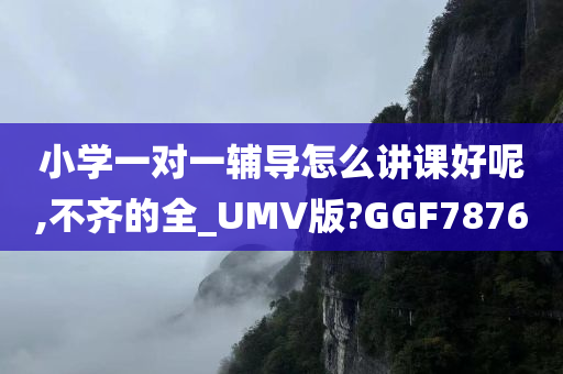 小学一对一辅导怎么讲课好呢,不齐的全_UMV版?GGF7876