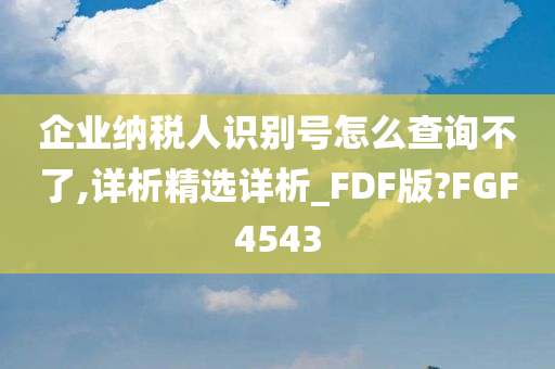 企业纳税人识别号怎么查询不了,详析精选详析_FDF版?FGF4543