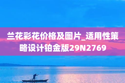 兰花彩花价格及图片_适用性策略设计铂金版29N2769