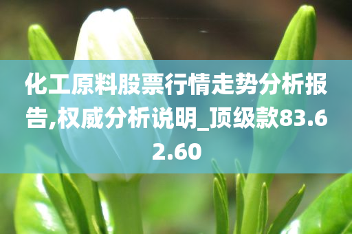 化工原料股票行情走势分析报告,权威分析说明_顶级款83.62.60