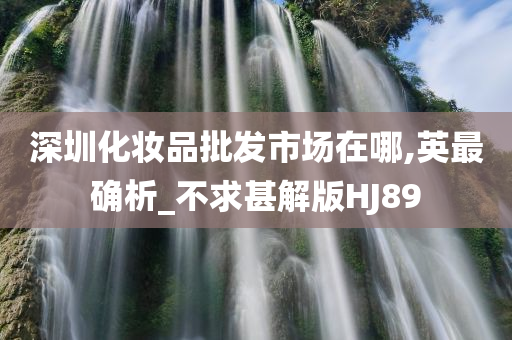 深圳化妆品批发市场在哪,英最确析_不求甚解版HJ89