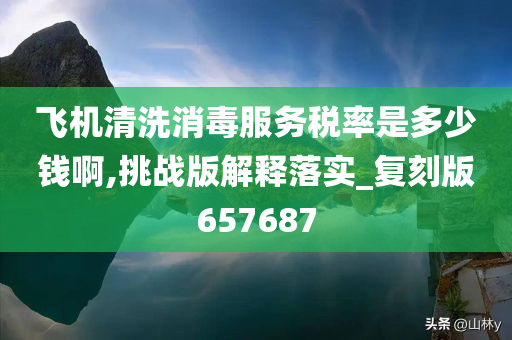 飞机清洗消毒服务税率是多少钱啊,挑战版解释落实_复刻版657687