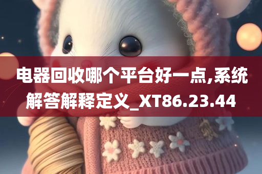 电器回收哪个平台好一点,系统解答解释定义_XT86.23.44