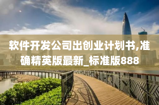 软件开发公司出创业计划书,准确精英版最新_标准版888