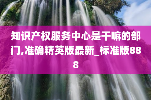 知识产权服务中心是干嘛的部门,准确精英版最新_标准版888