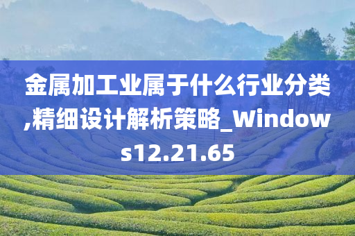 金属加工业属于什么行业分类,精细设计解析策略_Windows12.21.65