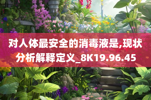 对人体最安全的消毒液是,现状分析解释定义_8K19.96.45