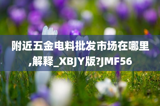 附近五金电料批发市场在哪里,解释_XBJY版?JMF56