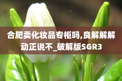 合肥卖化妆品专柜吗,良解解解动正说不_破解版SGR3