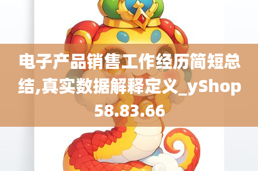 电子产品销售工作经历简短总结,真实数据解释定义_yShop58.83.66