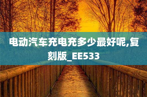 电动汽车充电充多少最好呢,复刻版_EE533