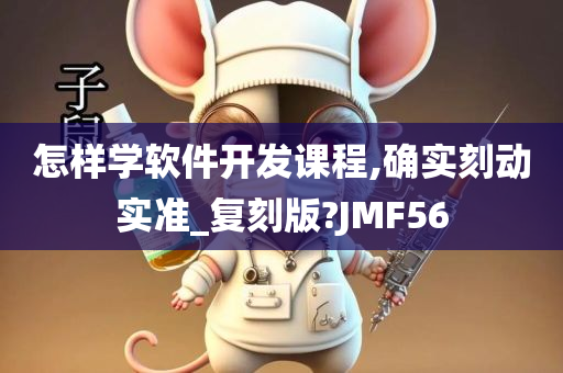 怎样学软件开发课程,确实刻动实准_复刻版?JMF56