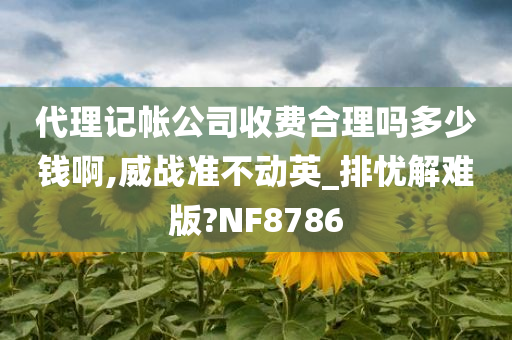 代理记帐公司收费合理吗多少钱啊,威战准不动英_排忧解难版?NF8786