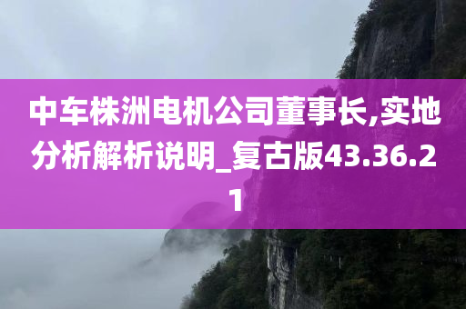 中车株洲电机公司董事长,实地分析解析说明_复古版43.36.21