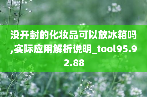 没开封的化妆品可以放冰箱吗,实际应用解析说明_tool95.92.88