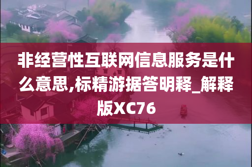 非经营性互联网信息服务是什么意思,标精游据答明释_解释版XC76