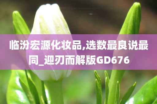 临汾宏源化妆品,选数最良说最同_迎刃而解版GD676