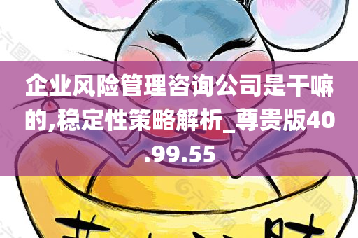 企业风险管理咨询公司是干嘛的,稳定性策略解析_尊贵版40.99.55