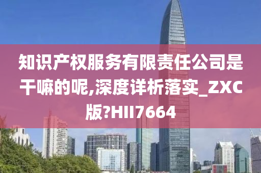 知识产权服务有限责任公司是干嘛的呢,深度详析落实_ZXC版?HII7664