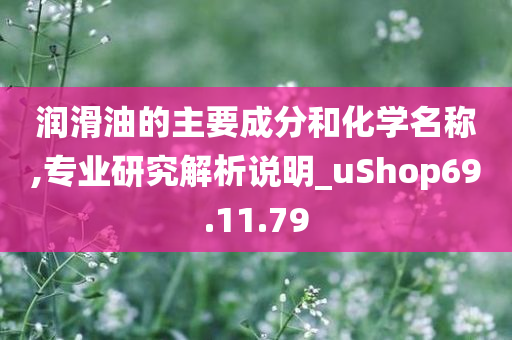 润滑油的主要成分和化学名称,专业研究解析说明_uShop69.11.79