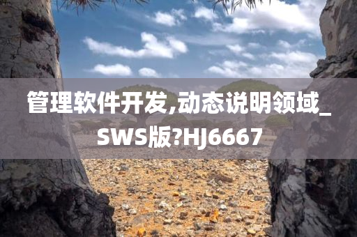 管理软件开发,动态说明领域_SWS版?HJ6667