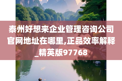 泰州好想来企业管理咨询公司官网地址在哪里,正品效率解释_精英版97768