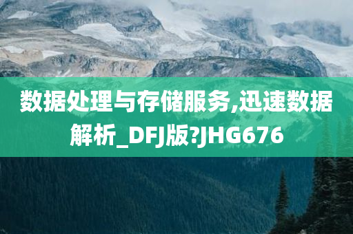 数据处理与存储服务,迅速数据解析_DFJ版?JHG676