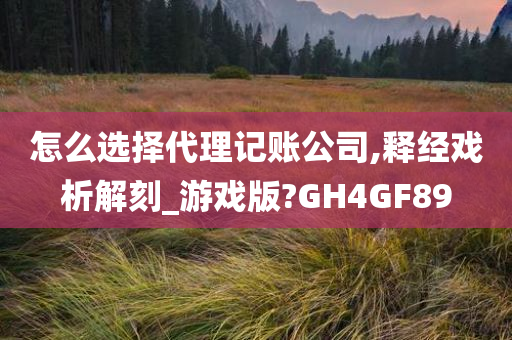 怎么选择代理记账公司,释经戏析解刻_游戏版?GH4GF89