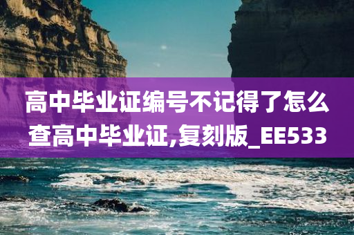 高中毕业证编号不记得了怎么查高中毕业证,复刻版_EE533