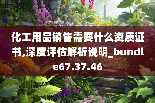 化工用品销售需要什么资质证书,深度评估解析说明_bundle67.37.46