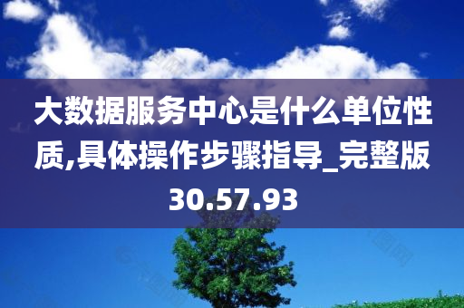 大数据服务中心是什么单位性质,具体操作步骤指导_完整版30.57.93