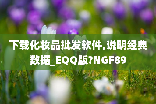 下载化妆品批发软件,说明经典数据_EQQ版?NGF89