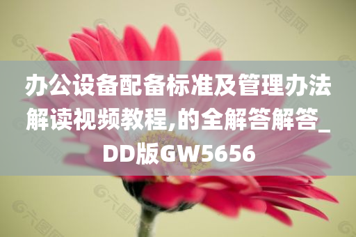 办公设备配备标准及管理办法解读视频教程,的全解答解答_DD版GW5656