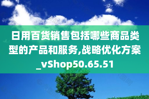 日用百货销售包括哪些商品类型的产品和服务,战略优化方案_vShop50.65.51