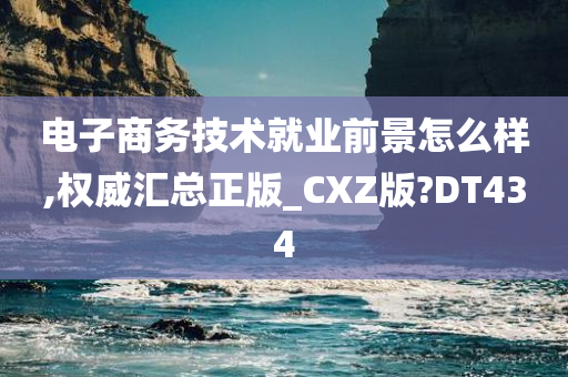 电子商务技术就业前景怎么样,权威汇总正版_CXZ版?DT434