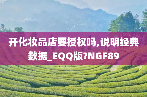 开化妆品店要授权吗,说明经典数据_EQQ版?NGF89