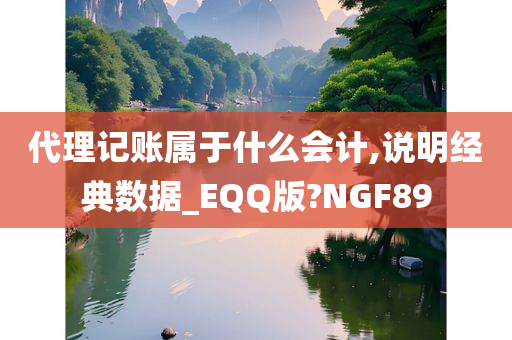 代理记账属于什么会计,说明经典数据_EQQ版?NGF89