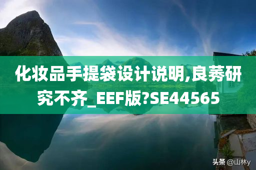 化妆品手提袋设计说明,良莠研究不齐_EEF版?SE44565