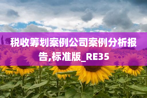 税收筹划案例公司案例分析报告,标准版_RE35